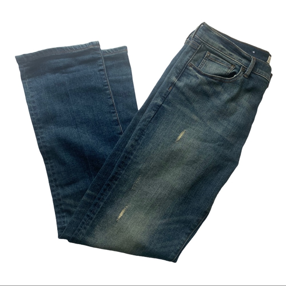 Banana Republic Straight Distressed Jean